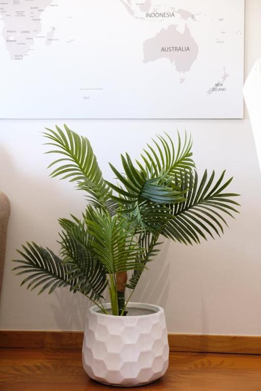 Guestready - A Sunny Delight In Funchal Apartment Bagian luar foto